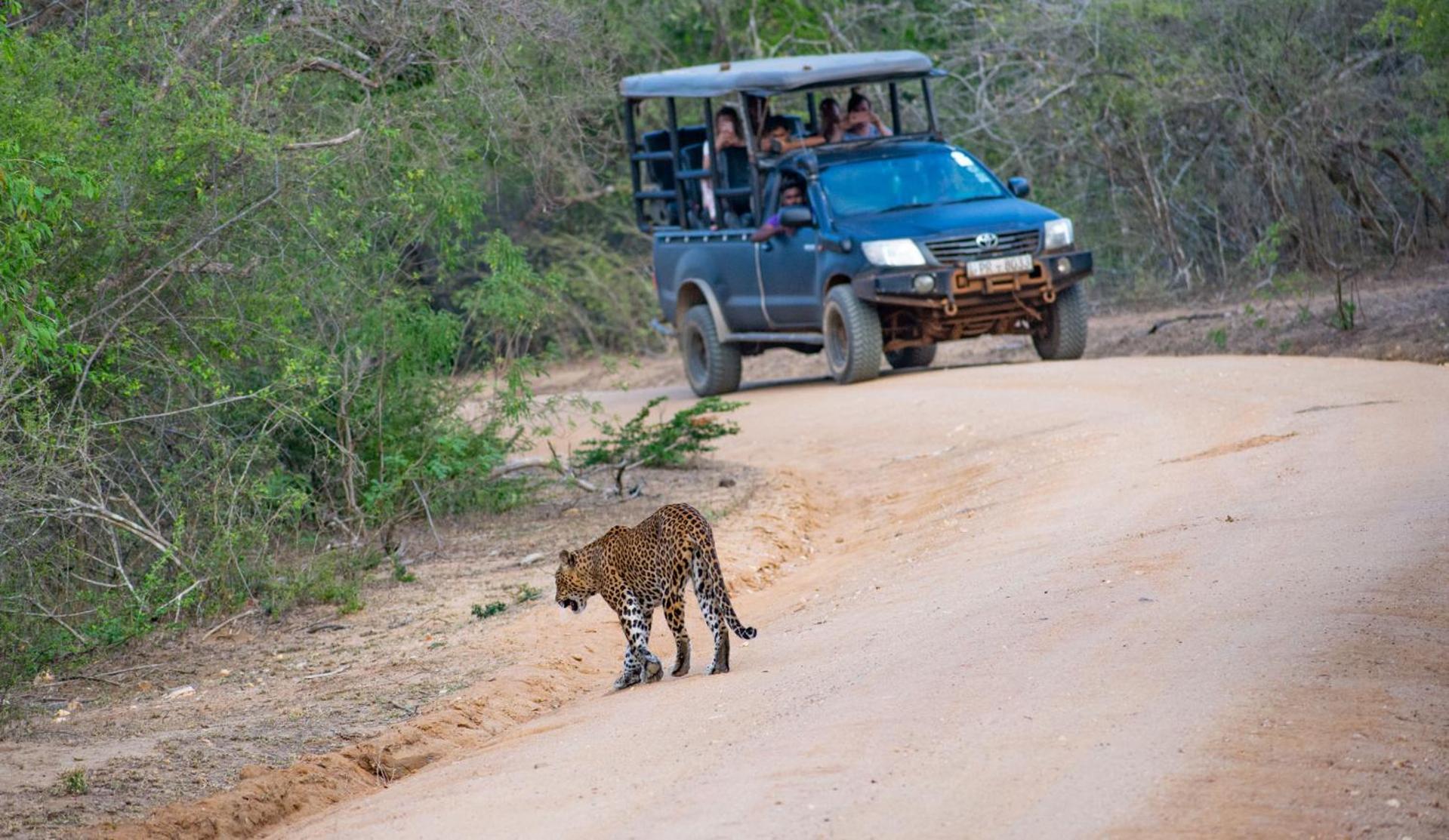 Hotel Camp Leopard - Yala Safari Glamping Exterior foto